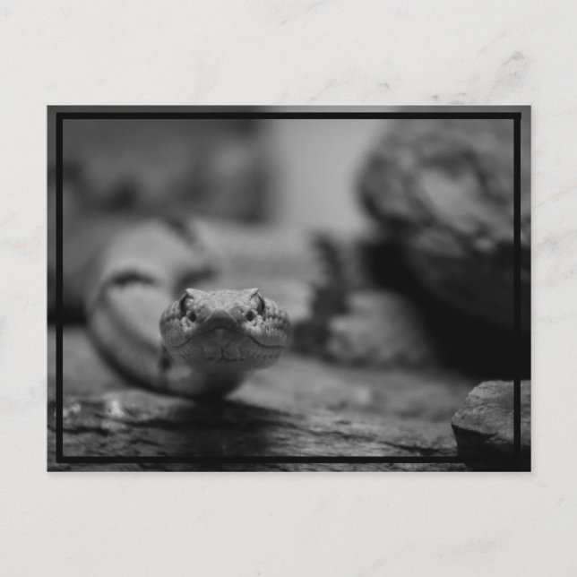 Carte Postale à vous regarder ! (Devant)