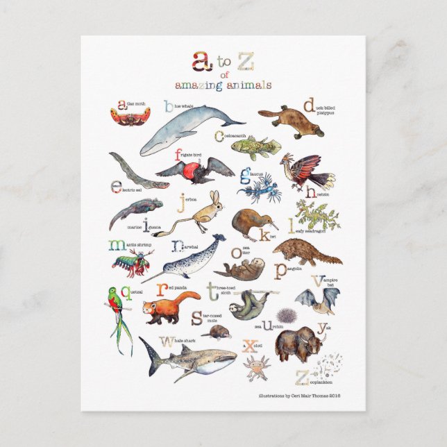 Carte Postale A-Z des animaux extraordinaires (Devant)