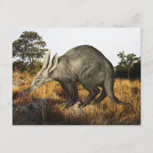 Carte Postale Aardvark