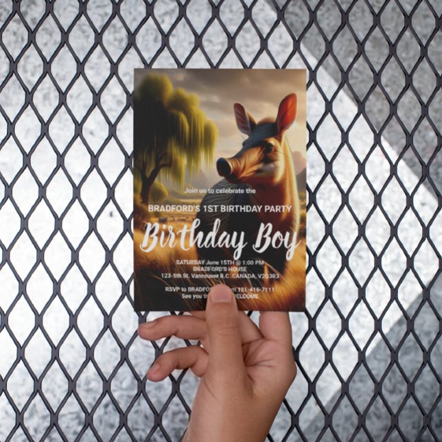 Carte Postale Aardvark Majestueux dans Champ Serein (Créateur téléchargé)