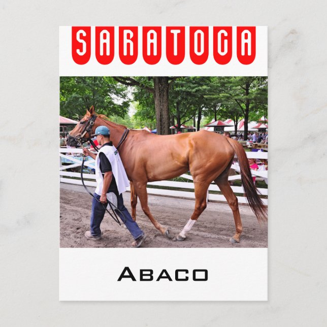 Carte Postale Abaco - Phipps Stables (Devant)