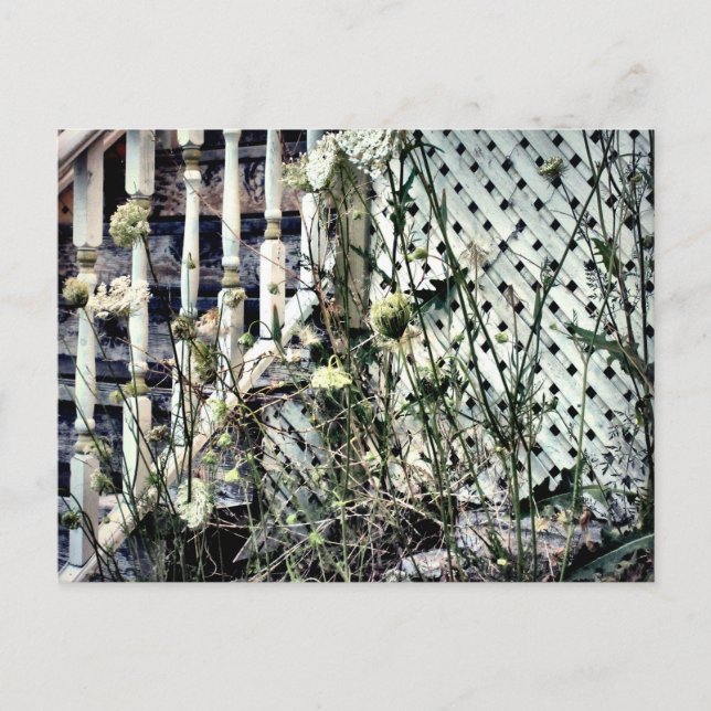 Carte Postale Abandon de l'avant de la maison La dentelle de la  (Devant)