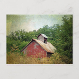 Carte Postale Abandonné et surcultivé