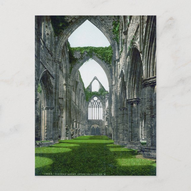 Carte Postale Abbaye de Tintern (Devant)