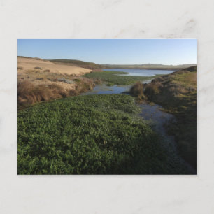 Carte Postale Abbotts Lagoon I à Point Reyes National Seashore