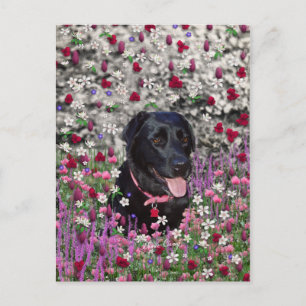 Carte Postale Abby en Fleurs - Chien de laboratoire noir