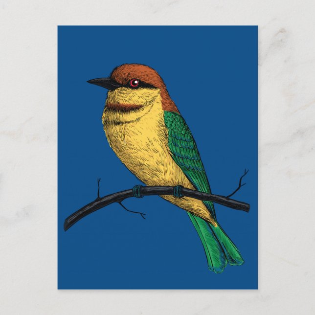 Carte Postale Abeille (Devant)