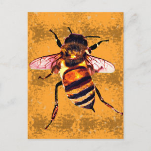 Carte Postale abeille