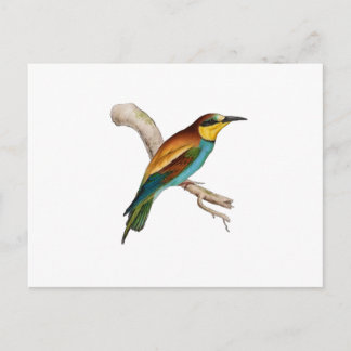 Carte Postale Abeille