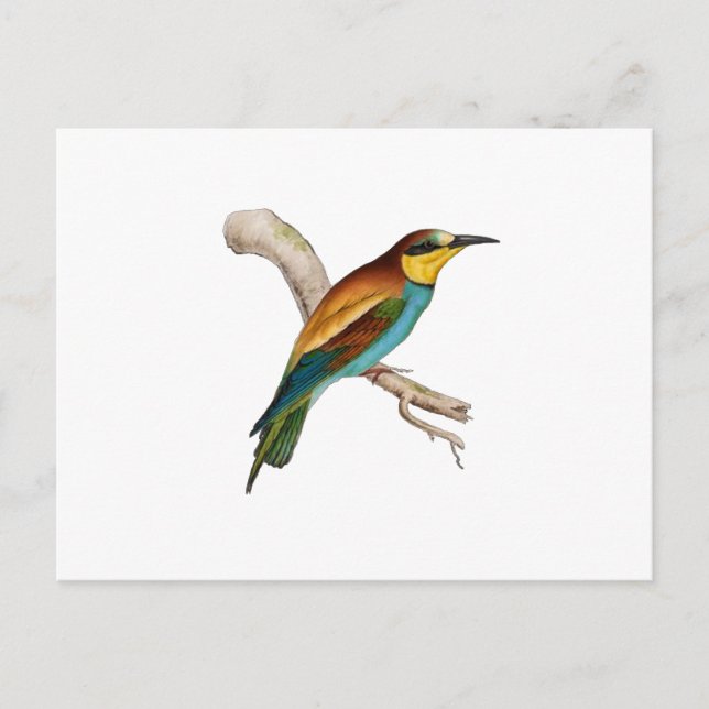 Carte Postale Abeille (Devant)