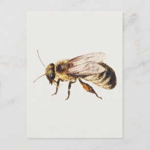 Carte Postale Abeille de la feuille d'études de neuf insectes