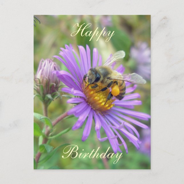 Carte Postale Abeille de miel sur Asters Anniversaire de coordin (Devant)