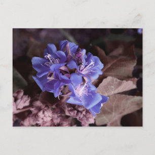 Carte Postale abeille en fleurs bleues coloré violet