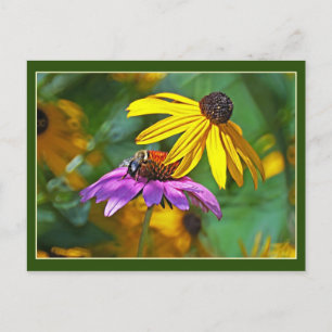 Carte Postale Abeille et fleurs