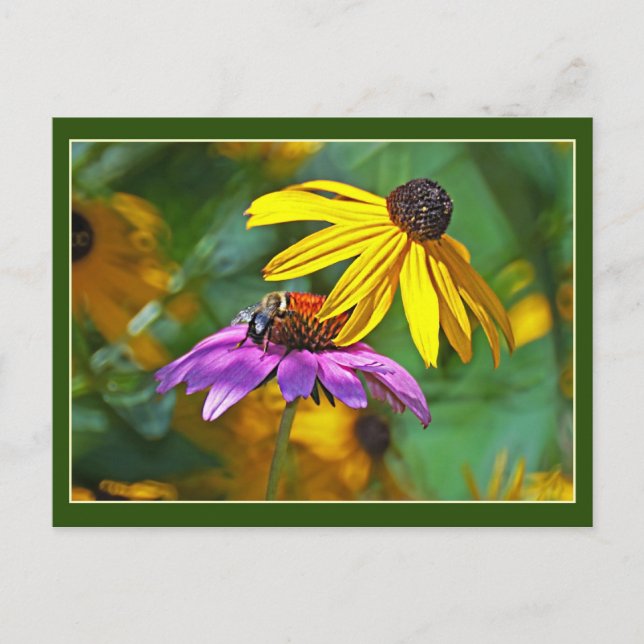 Carte Postale Abeille et fleurs (Devant)