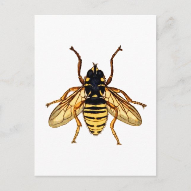 Carte Postale Abeille jaune vintage (Devant)
