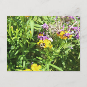 Carte Postale Abeille occupée n° 3