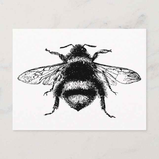 Carte Postale Abeille vintage (Devant)
