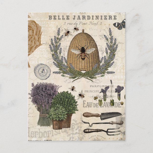 Carte Postale Abeille Vintage française moderne (Devant)