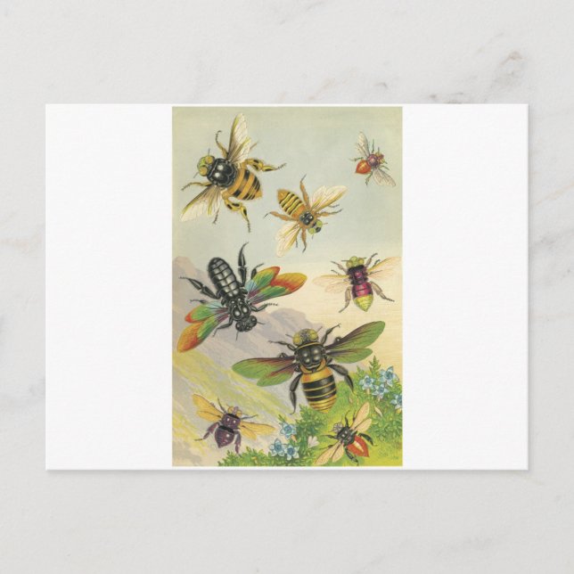 Carte Postale Abeilles (Devant)