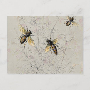 Carte Postale Abeilles