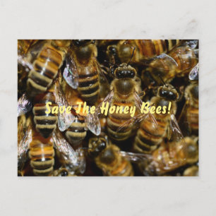 Carte Postale Abeilles de miel dans la ruche