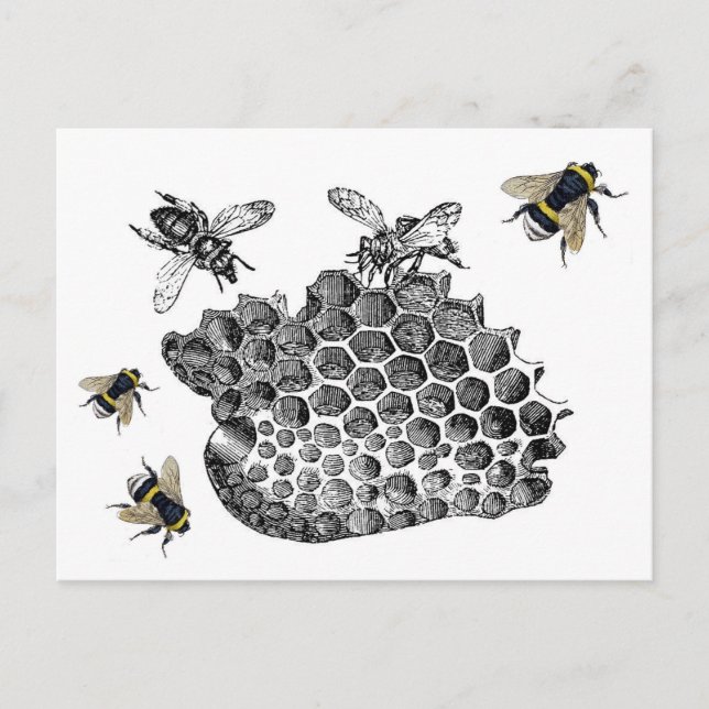 Carte Postale Abeilles vintages (Devant)