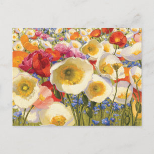 Carte Postale Abondance ensoleillée