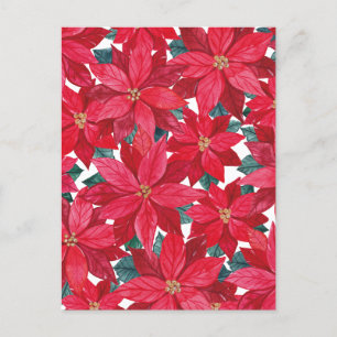 Carte Postale Abri d'hiver Poinsettias