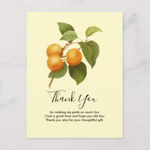 Carte Postale Abricots Orange Vintage Aquarelle Merci