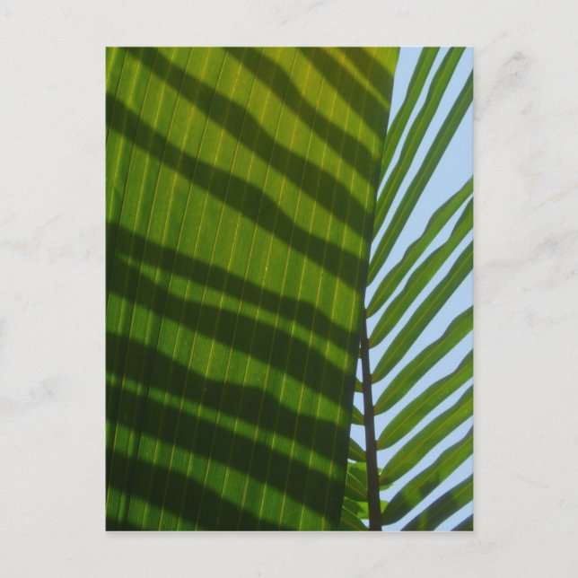 Carte Postale Abstract (Devant)