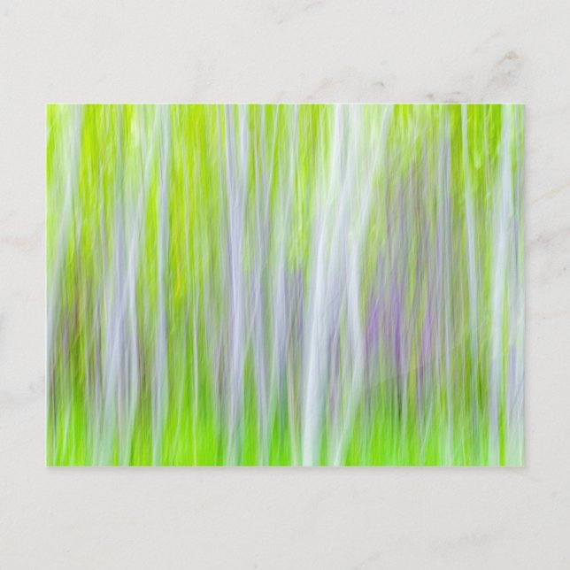 Carte Postale Abstrait d'arbres d'Aspen | Yakima River Trail, WA (Devant)