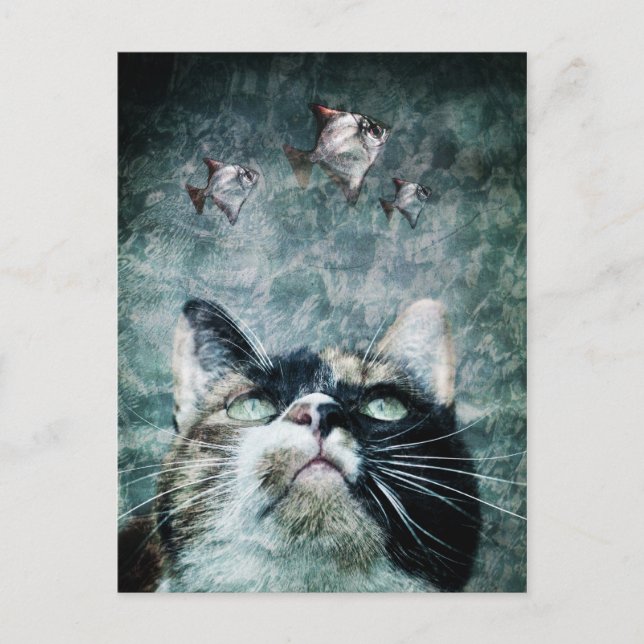 Carte postale Abyss cat (Devant)