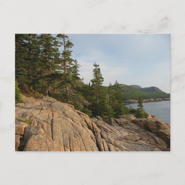 Carte postale Acadia Coast II (Devant)