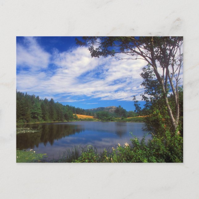 Carte Postale Acadia Long Pond View (Devant)