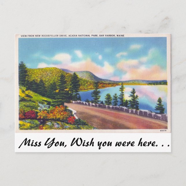 Carte Postale Acadia Nat. Parc, Bar Harbour, Maine (Devant)