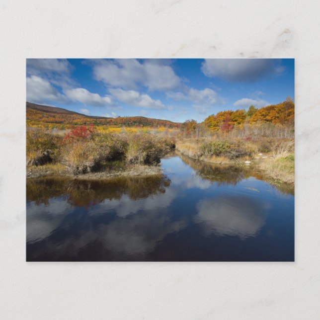 Carte Postale Acadia NP : couleurs d'automne, réflexions (Devant)