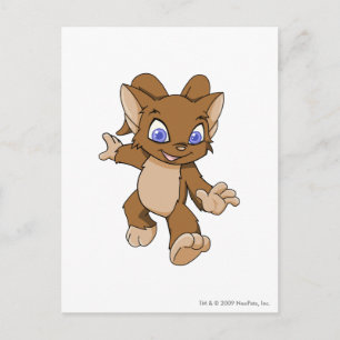 Carte Postale Acara Brown
