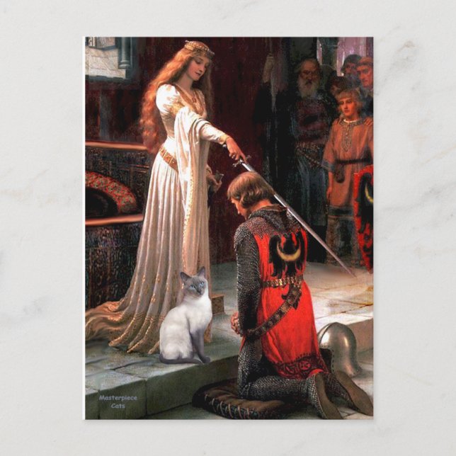 Carte Postale Accolade - Blue Point Chat siamois (Devant)