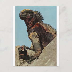 Carte Postale Accroche-toi bien -