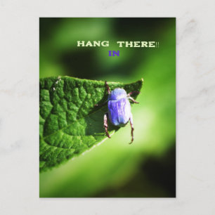 Carte Postale Accroche-toi, Purple Beatle, 