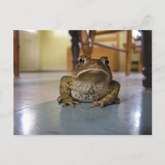 Carte Postale Accueil (Devant)