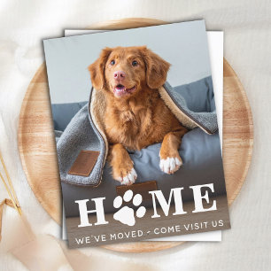Carte Postale Accueil Chien Déménagement Nous avons Déménagé Car