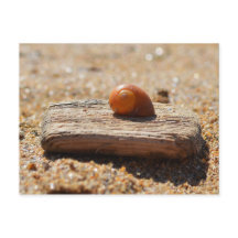 Accueil Sur La Plage