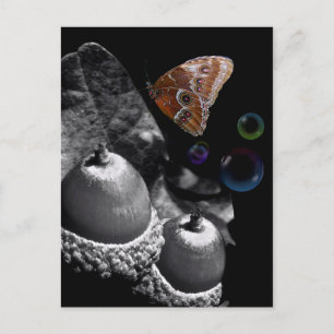 Carte Postale Acorns Papillon et bulles