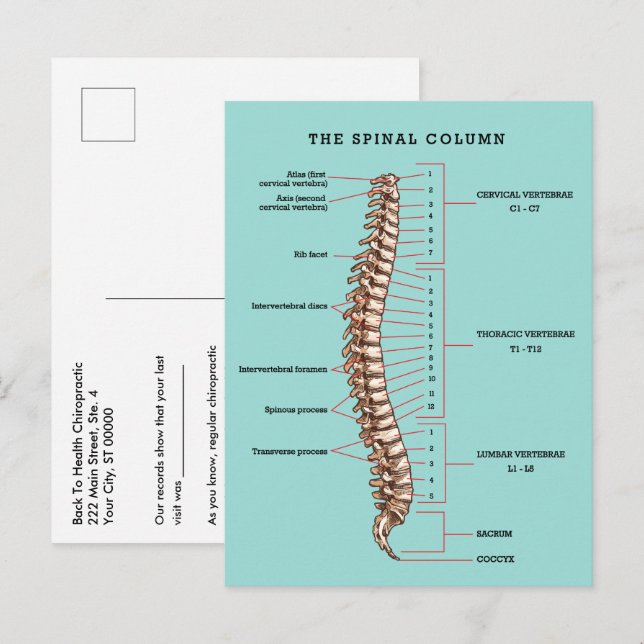 Carte Postale Activation chiropractic spinale column (Devant / Derrière)