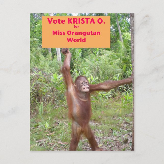 Carte Postale Activiste du concours de beauté (Devant)