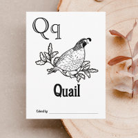 Activité de coloriage pour Baby Shower ABC des Ani