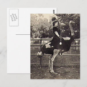 Carte Postale Actrice Broadway vintage chevauchant une autruche