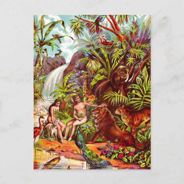 Carte postale Adam et Eve (Devant)